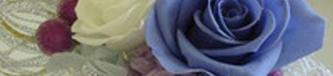 milke mama's header image