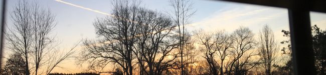 roxygirl's header image