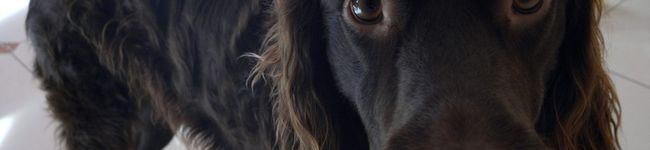 julienf's header image