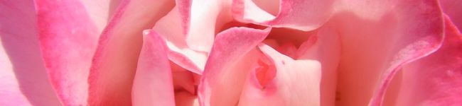 plaire's header image