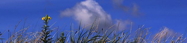 ＊まーさん＊'s header image