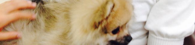 yonyonchan's header image