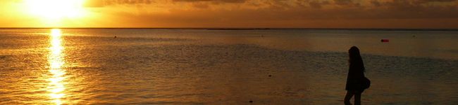 wutan 's header image