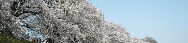 yurara☆'s header image
