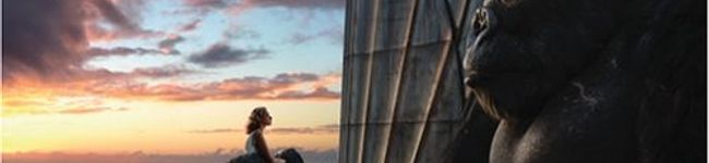 ぼくの台所's header image