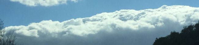 awaawabeer's header image