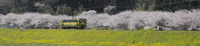 tomuきゃっと's header image