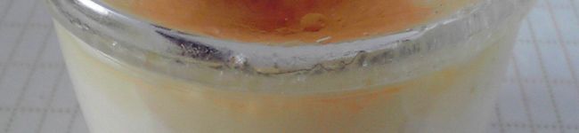 pocean's header image