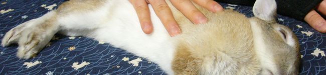 くぅcLove's header image