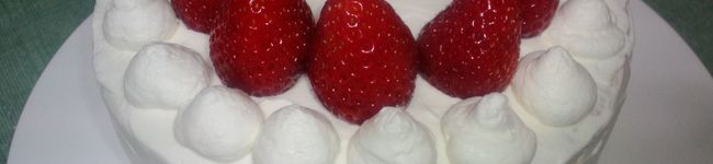ayuayucchi's header image