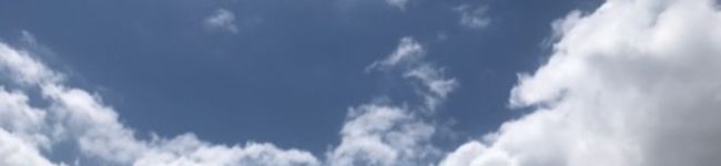 hinoki114's header image