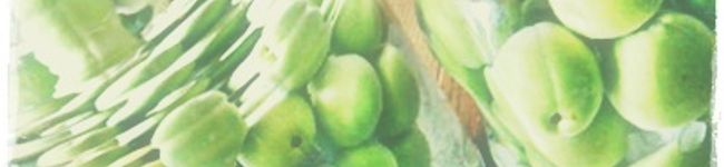 tikky's header image