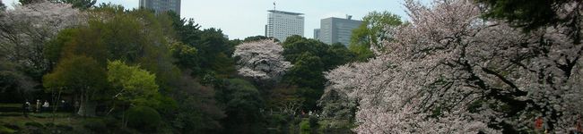 新米ジュンス's header image