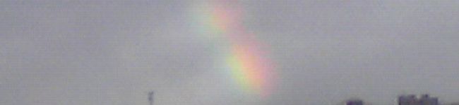 saluri's header image