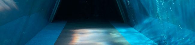とことこ村's header image