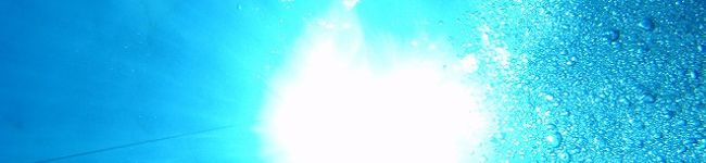 のんき吞気's header image