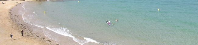 ぐりみ's header image