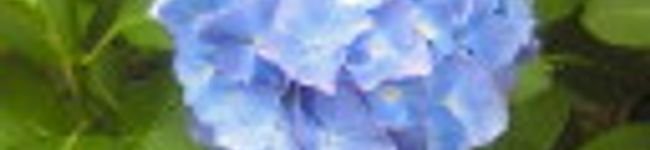 youri's header image