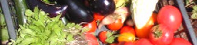 cohabow's header image
