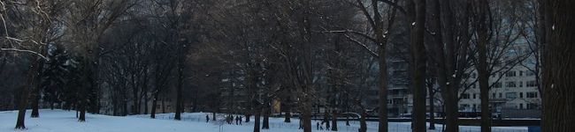 espoir12's header image