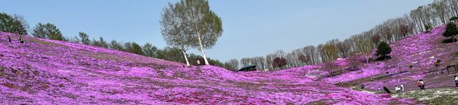 のの's header image