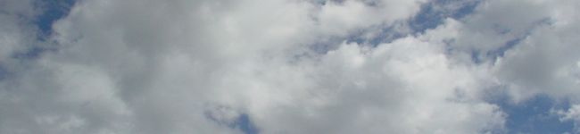 ハラミ子's header image