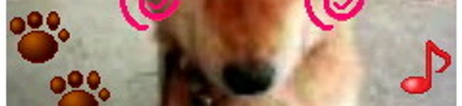 v I w I v's header image
