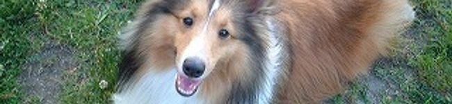 亮ｃａｍ's header image