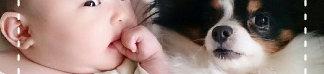 のんくぅ's header image