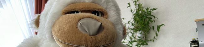 honimahina's header image