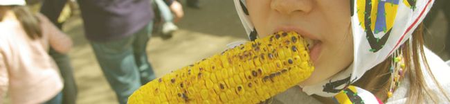 solsolsol's header image