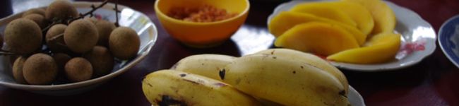 pancebolla's header image