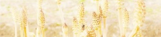 ★5q★'s header image
