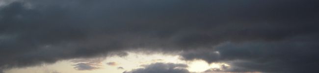 中央特快's header image