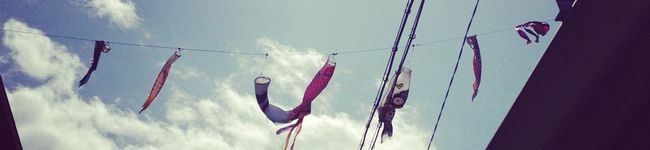 woollion's header image