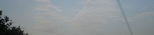 2ザウルス君's header image