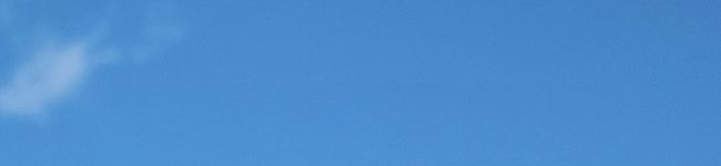 モモピン's header image