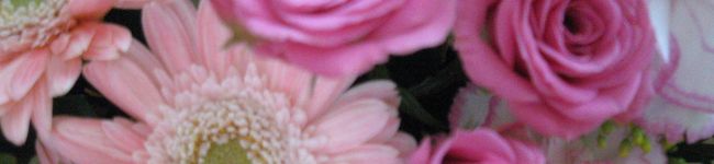 おさんぽtenten's header image
