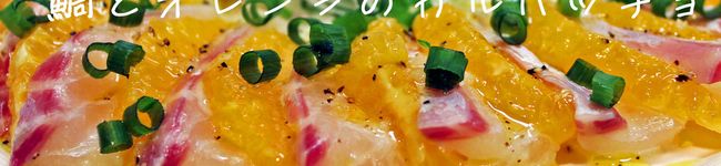シュナウザのジュン's header image