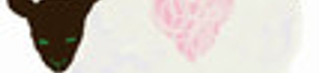 ㈱菊池's header image