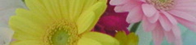 さっちょママ's header image