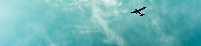 tadai's header image