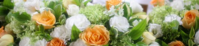 jizemeihui's header image