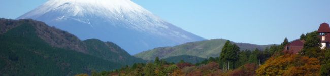 ふ～ちゃんばぁば's header image