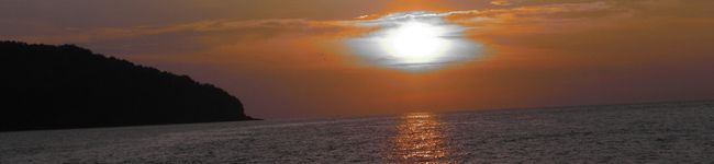naturaly's header image