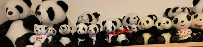 ママpanda's header image