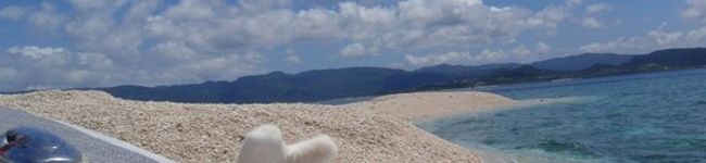 えみプリン's header image
