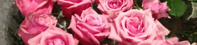 momocos's header image