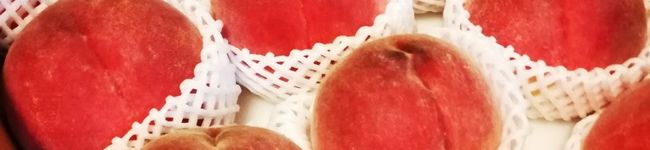 demi子's header image