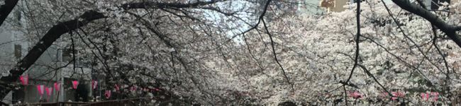 moeco♡'s header image